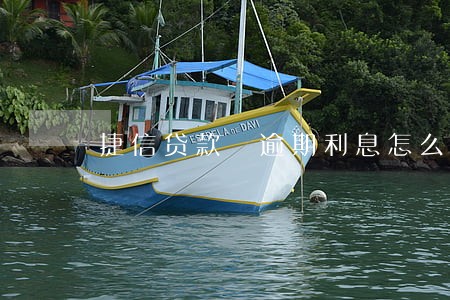 捷信贷款 逾期利息怎么算 捷信贷款 逾期利息怎么算